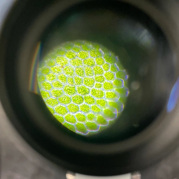 Meet your Posher, Theodor - Picture 1 of 1